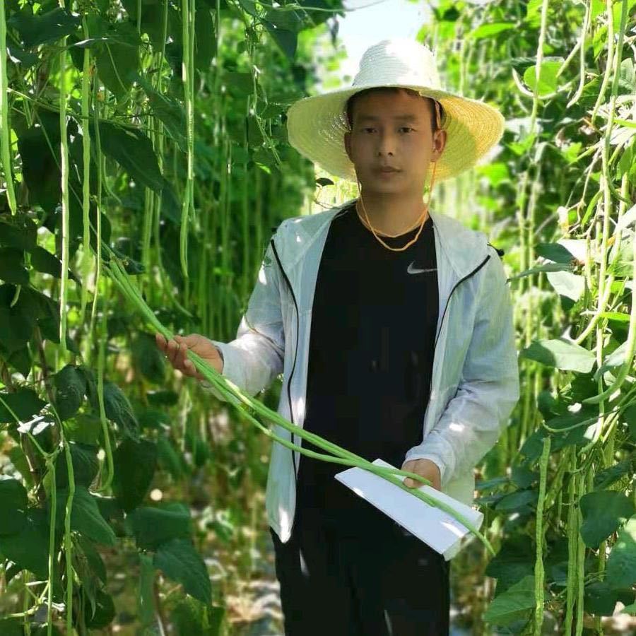 瑞丰园艺