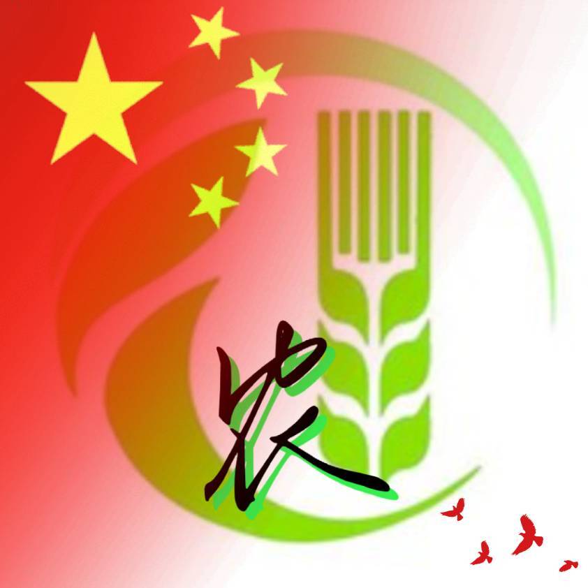 乡村的小璐