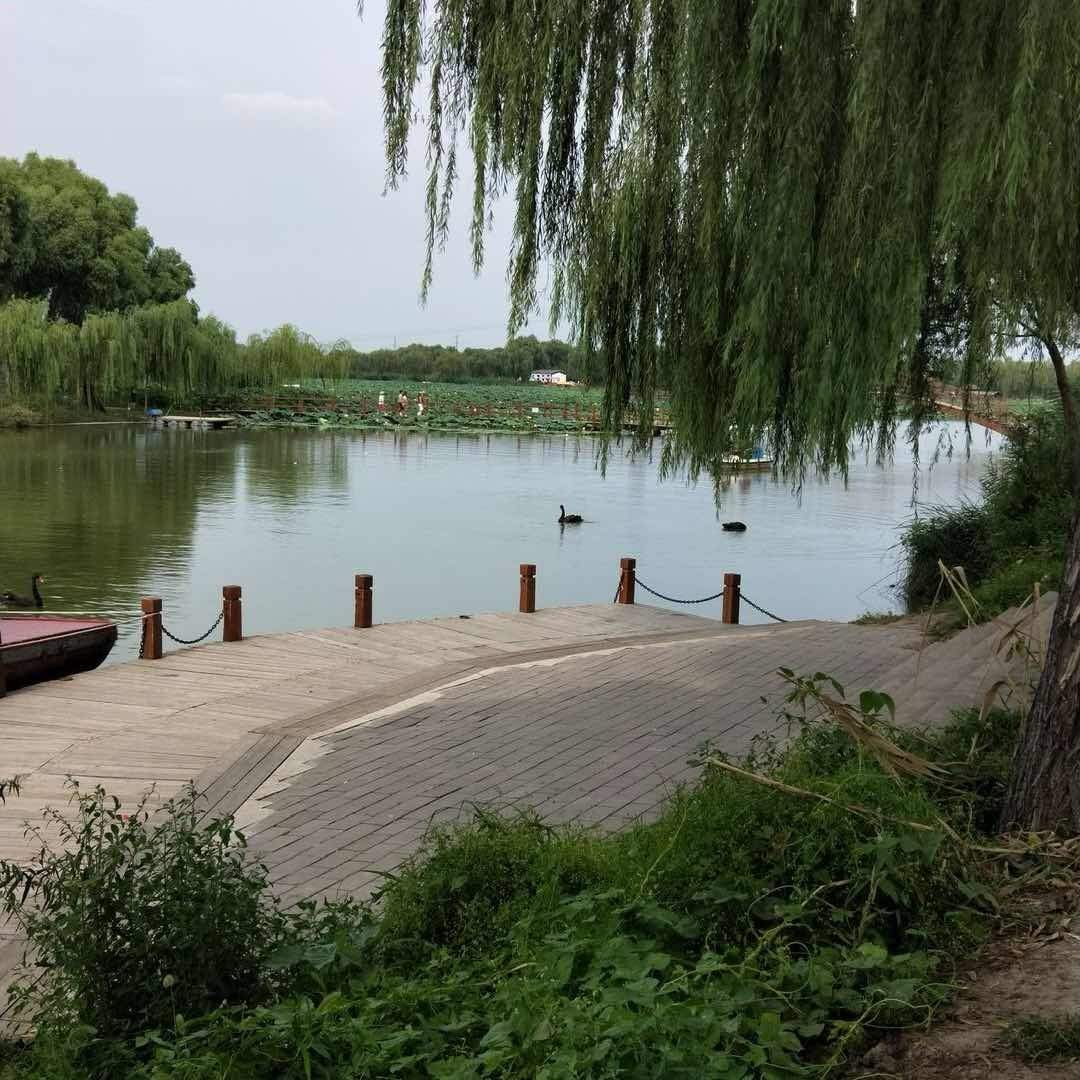 农村小沫158