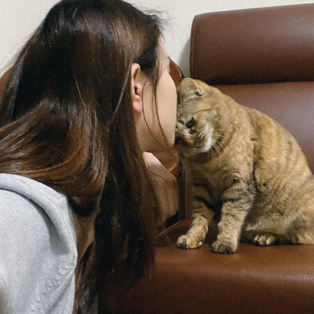 鼻涕小猫叫灯泡