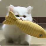 nnn是天气