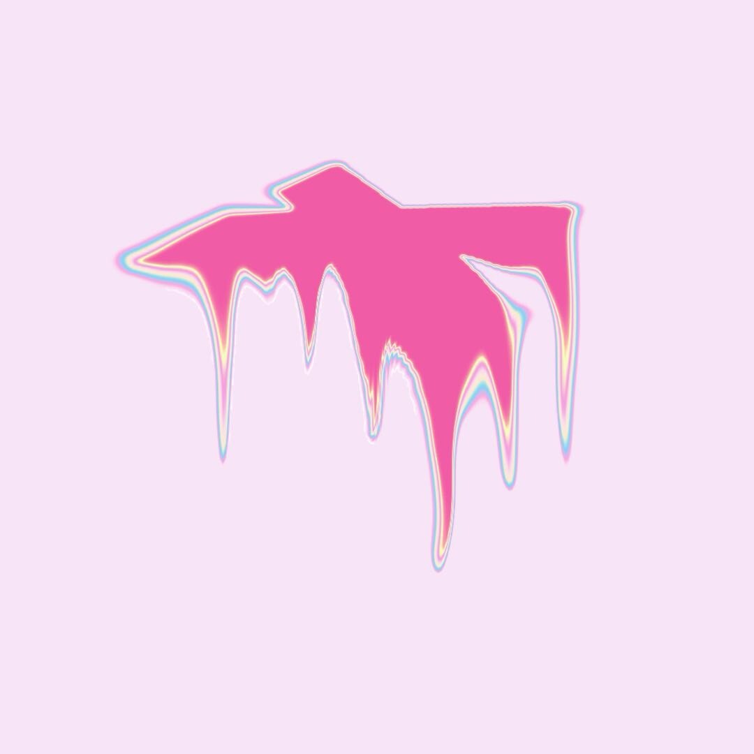 X小韩速报局