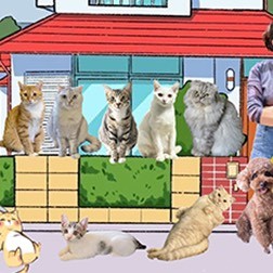 8猫1狗上市家庭