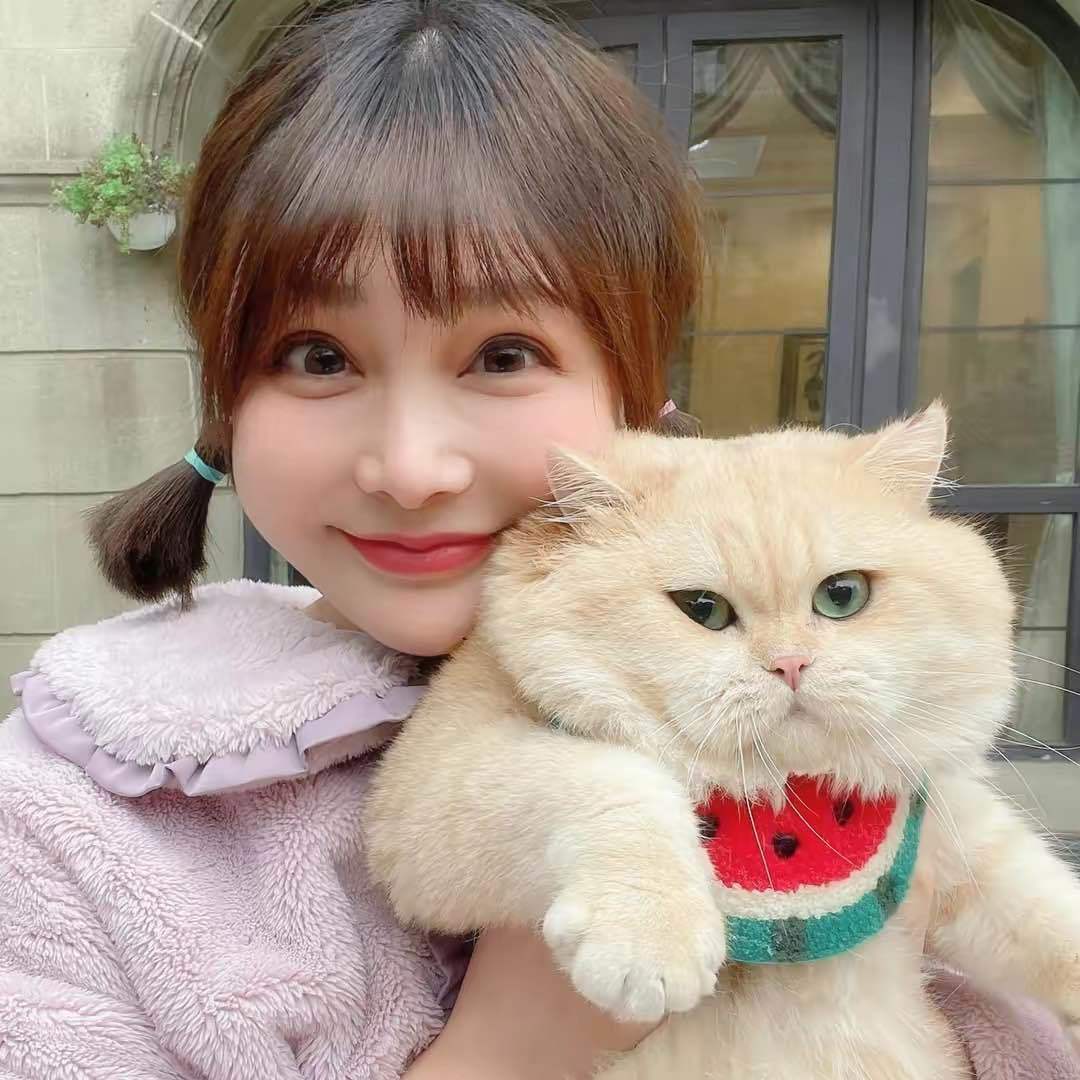 无敌小小豆w