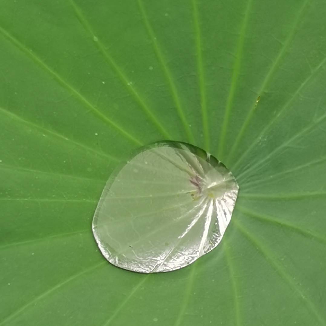 单位火灾应急的八项任务(图1)