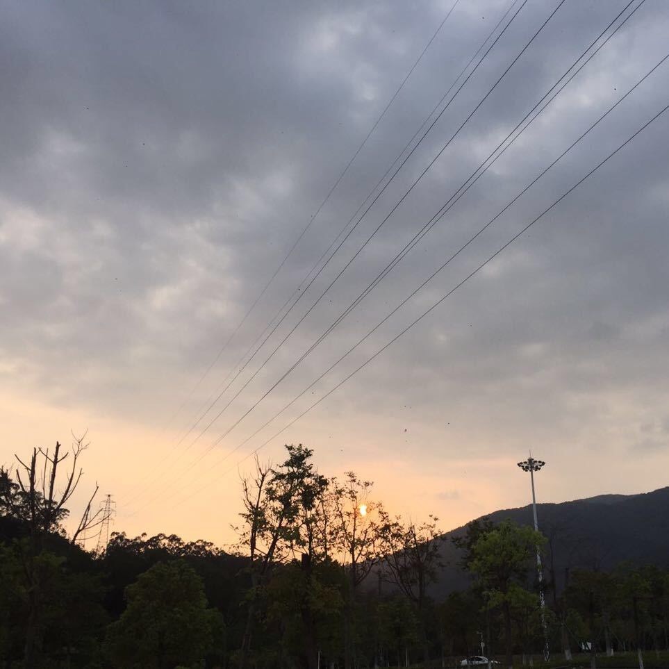 心中之城oy