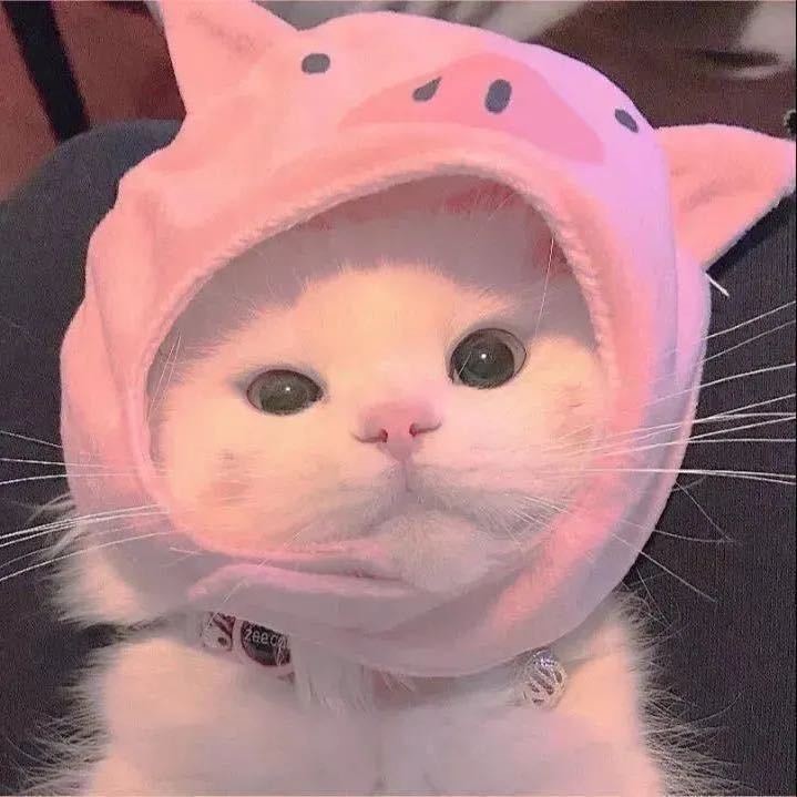 科科耶耶