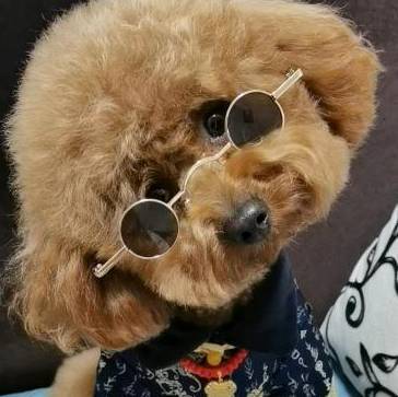 果果是我呀呀呀