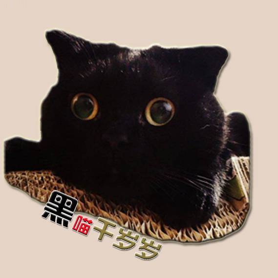 黑喵千岁岁