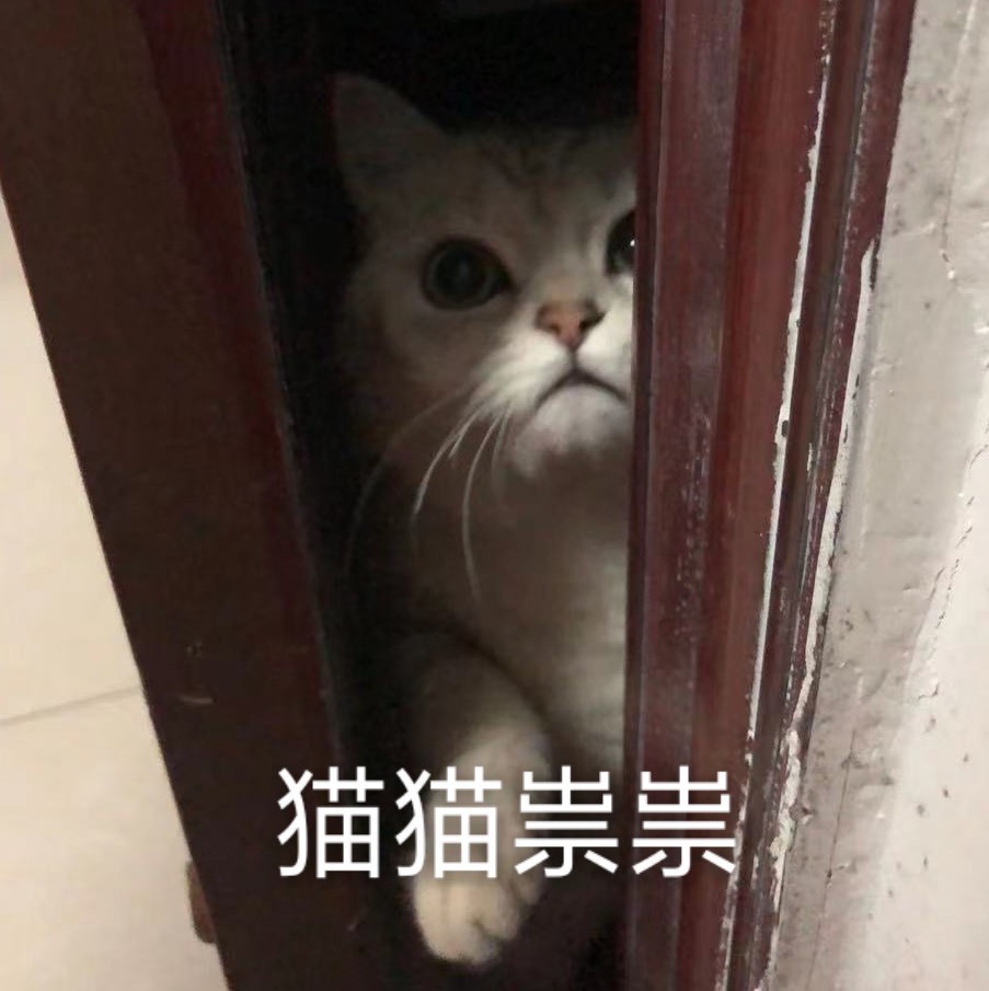 奶盖爱吃肉.