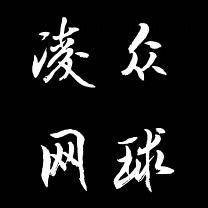 凌众网球教学