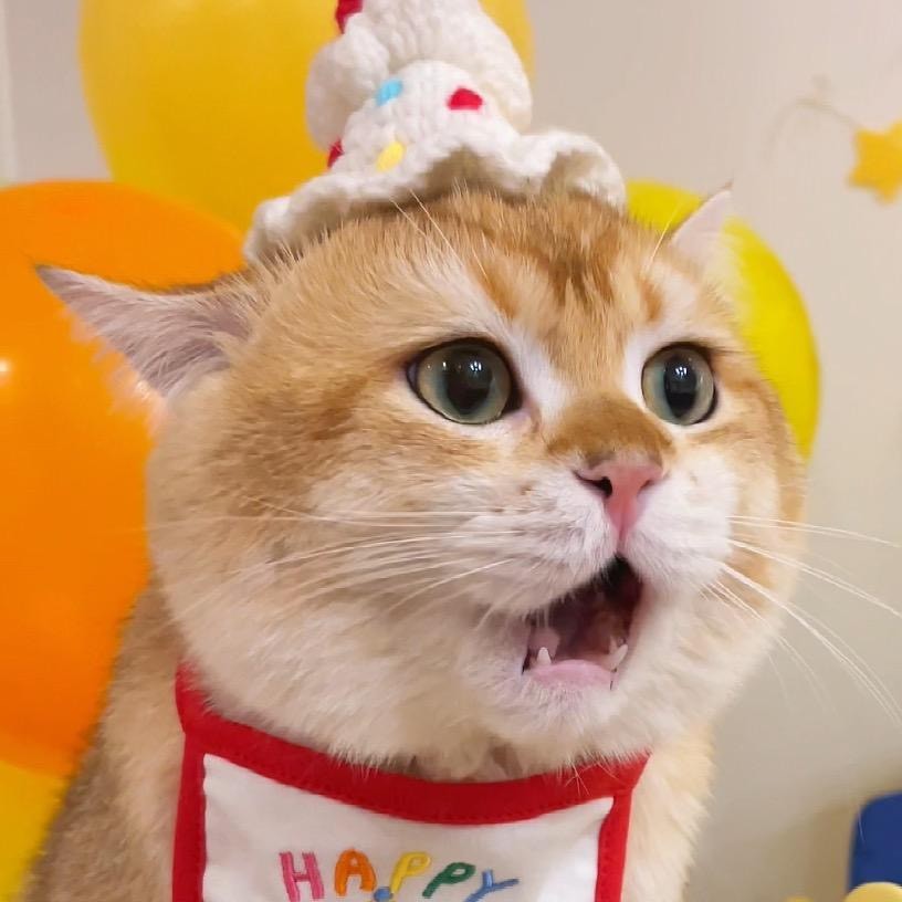 开水胡迪