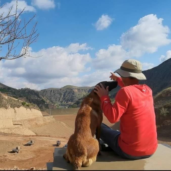 窑洞城堡打造中