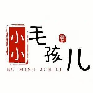 小毛孩儿动物解说