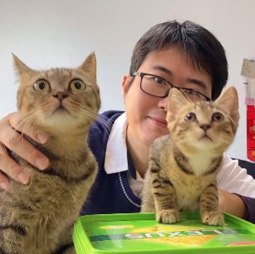 韩哥的猫