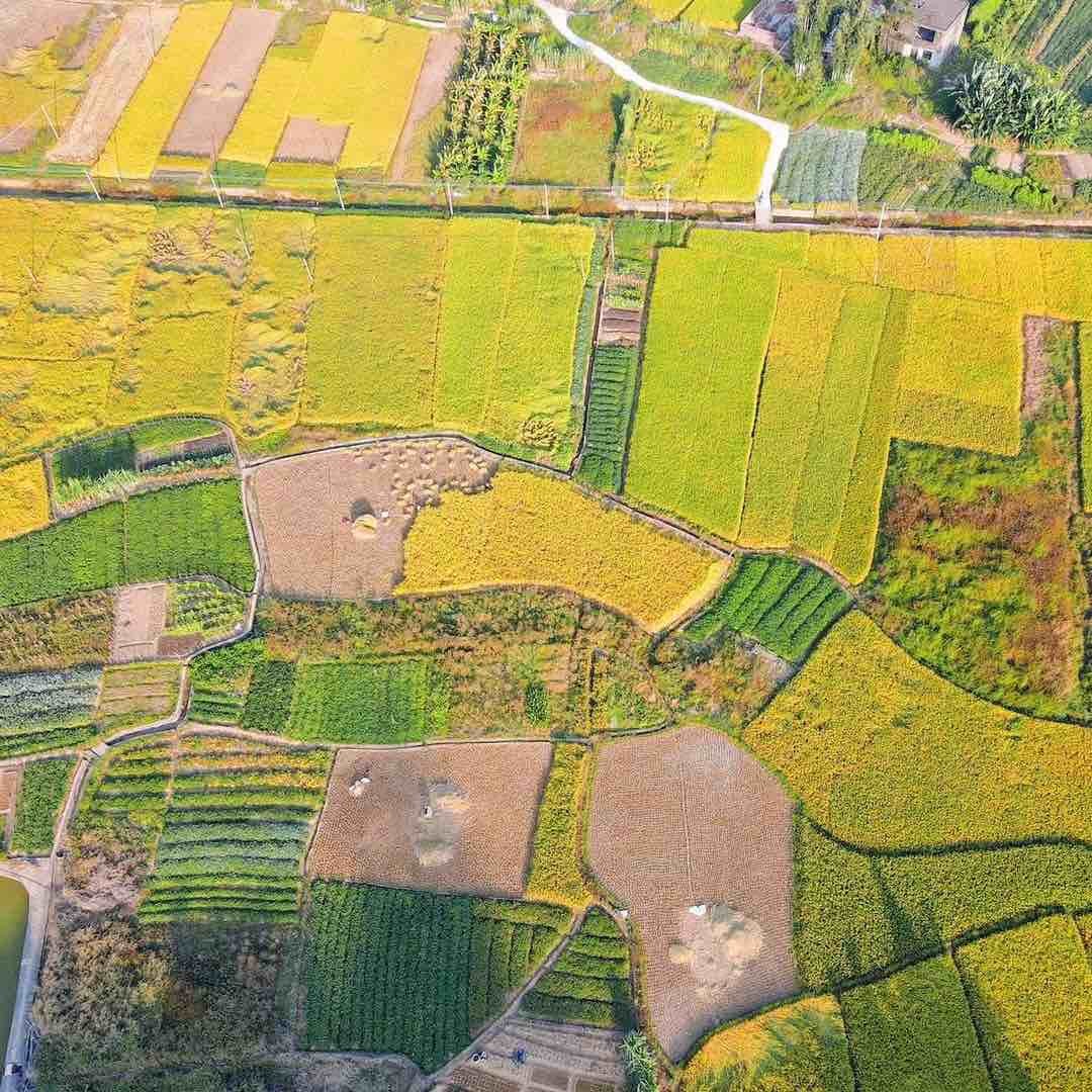 黄小二农村电商