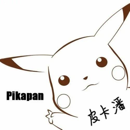 音乐人潘成-皮卡潘