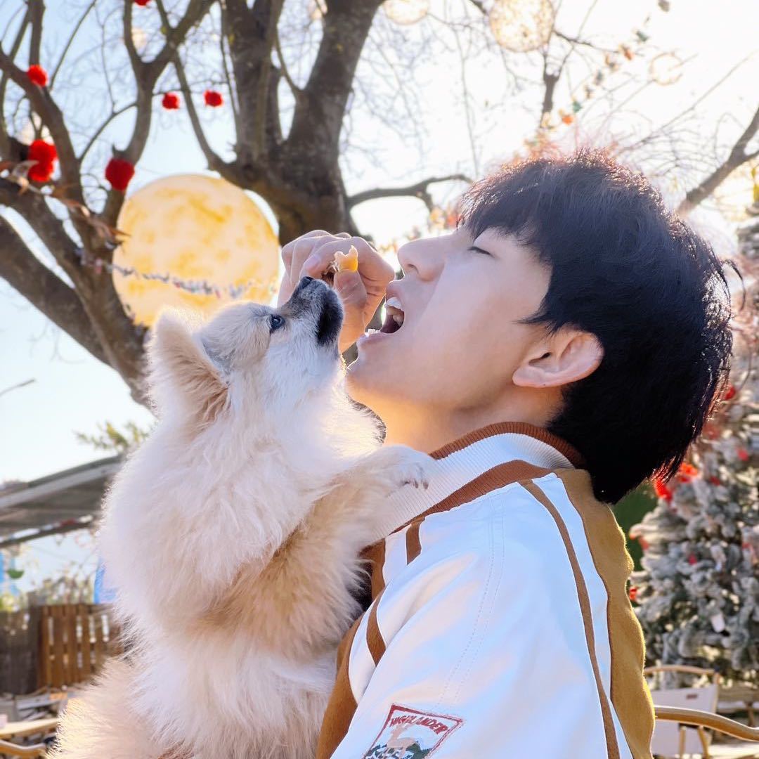 比伯家犬舍