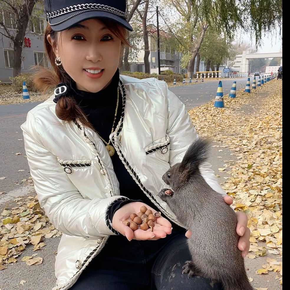 小松鼠榛子玲姐