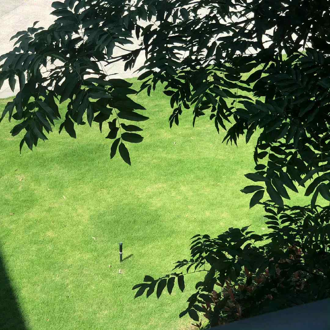 河东街道办事处