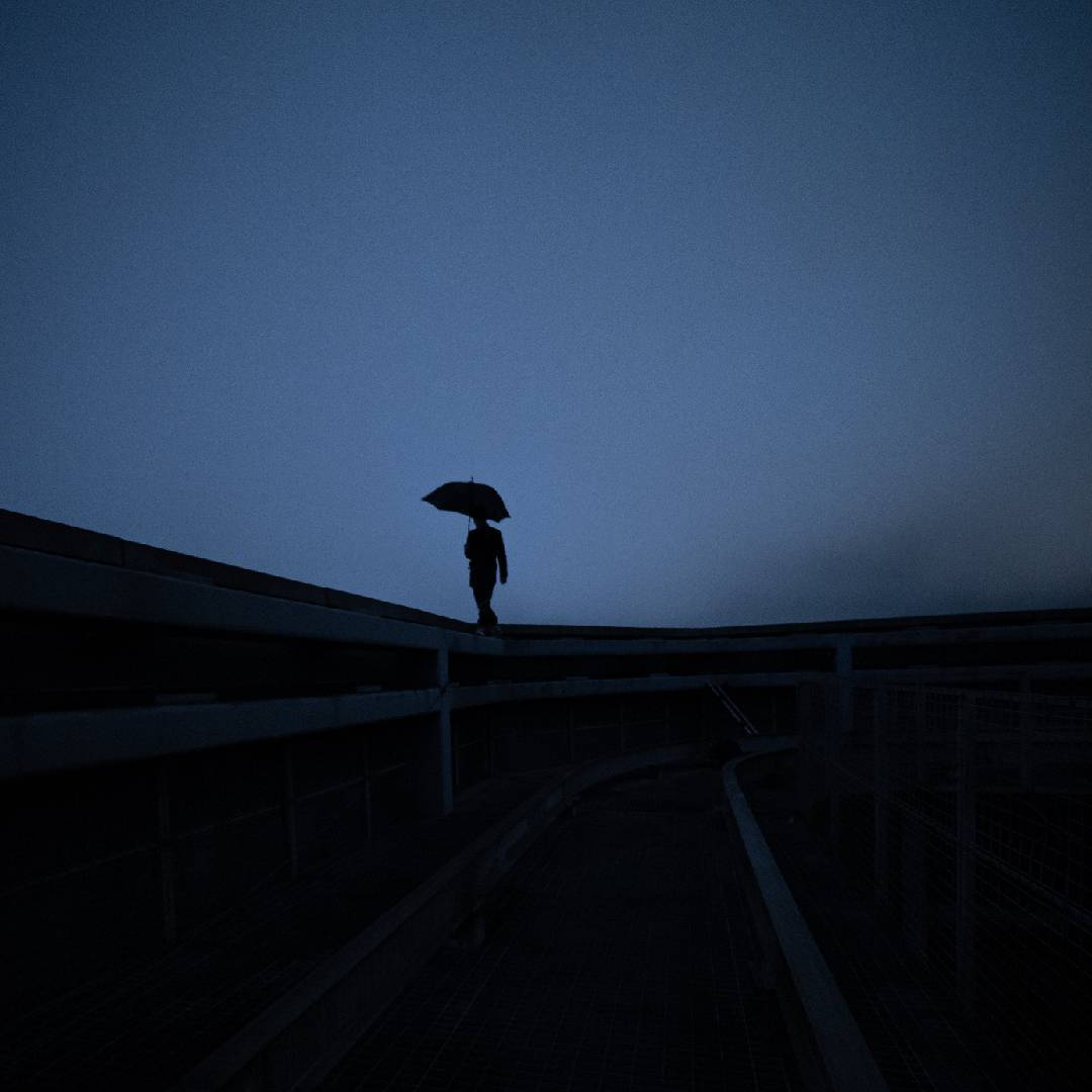 麦麸出门拍照