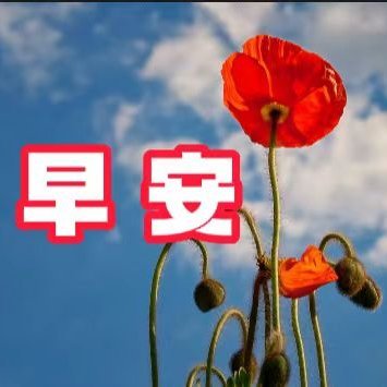 清晨早安送问候