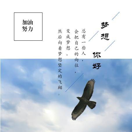 鹰之翔天