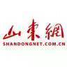 山东网新全媒体传播有限公司