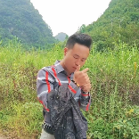 刘哥9411