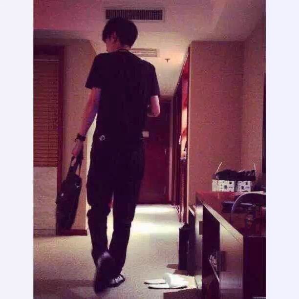 宫平与流浪动物的十三年