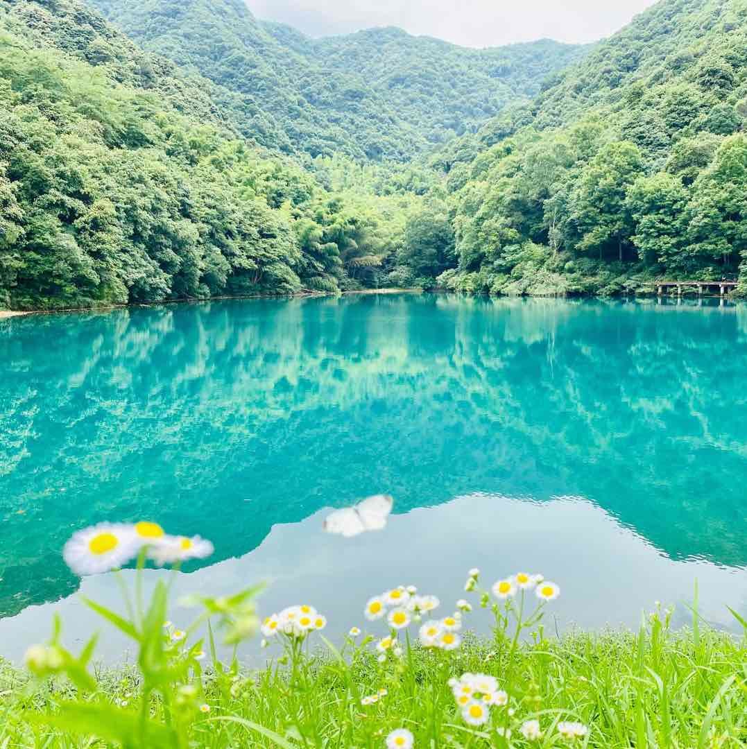 走遍一沙一世界