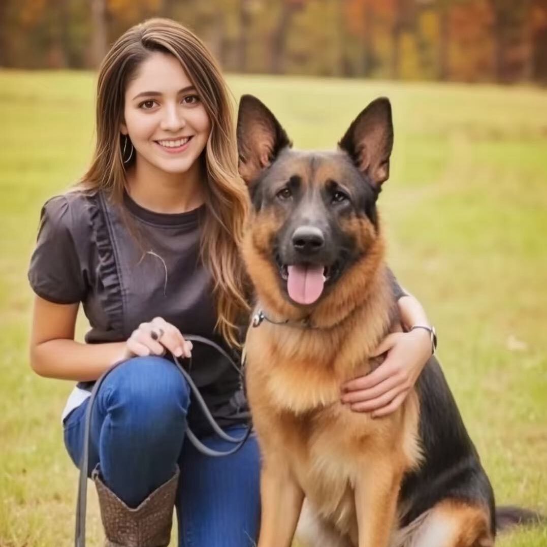 汪星人巡查日记