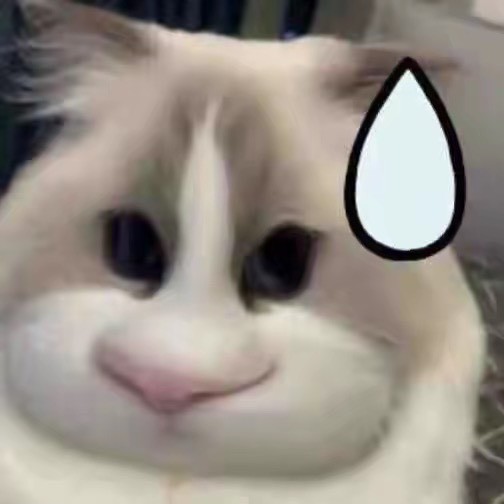 ゙猪猪小野