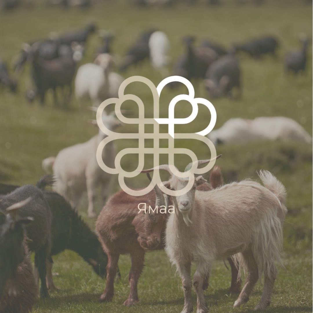 蒙古国品牌羊绒