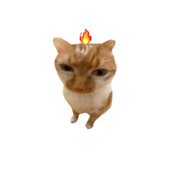 我酱酱酱酱酱酱呀