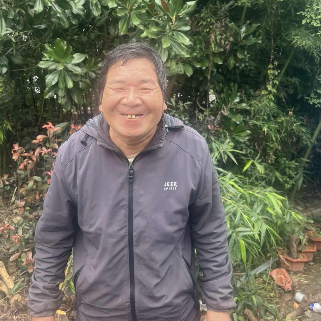 伏牛山大山深处