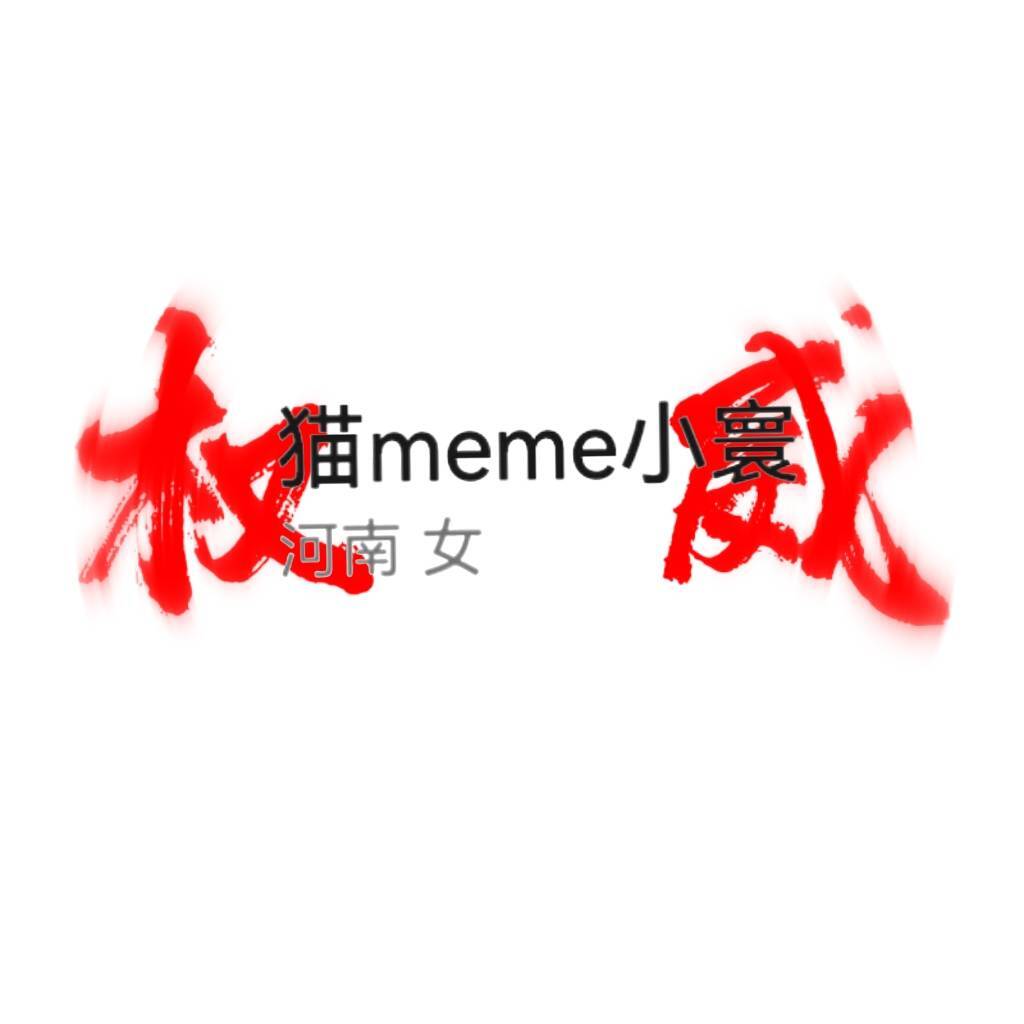 猫meme小寰
