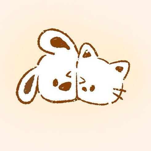 小阳爱猫狗救助中心