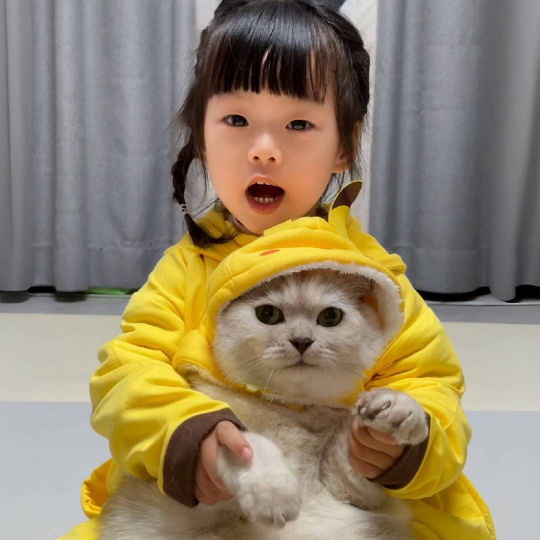 十八的萌喵日记