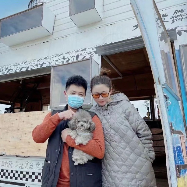 apple是只灰泰迪