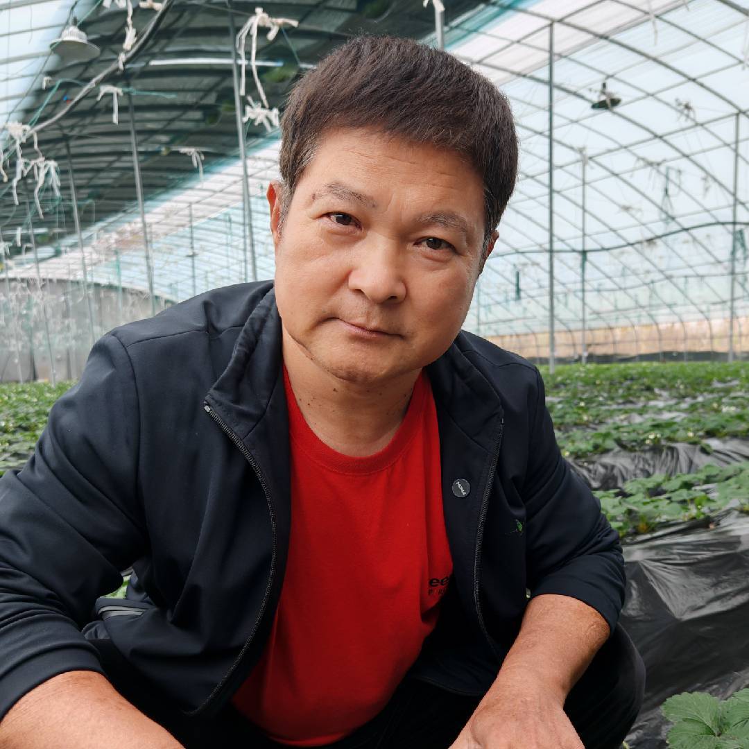 李淑利说特种肥