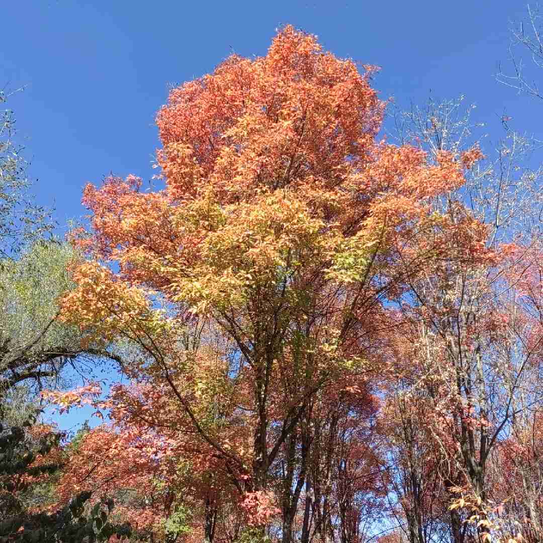 视频号家居家装排行榜第8名undefined,新榜指数707.9,新增作品数1,总推荐数3463,平均推荐数3463,最高推荐数3463