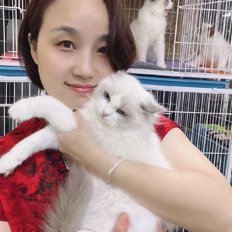 视频号萌宠排行榜第14名undefined,新榜指数812.9,新增作品数1,总推荐数11602,平均推荐数11602,最高推荐数11602