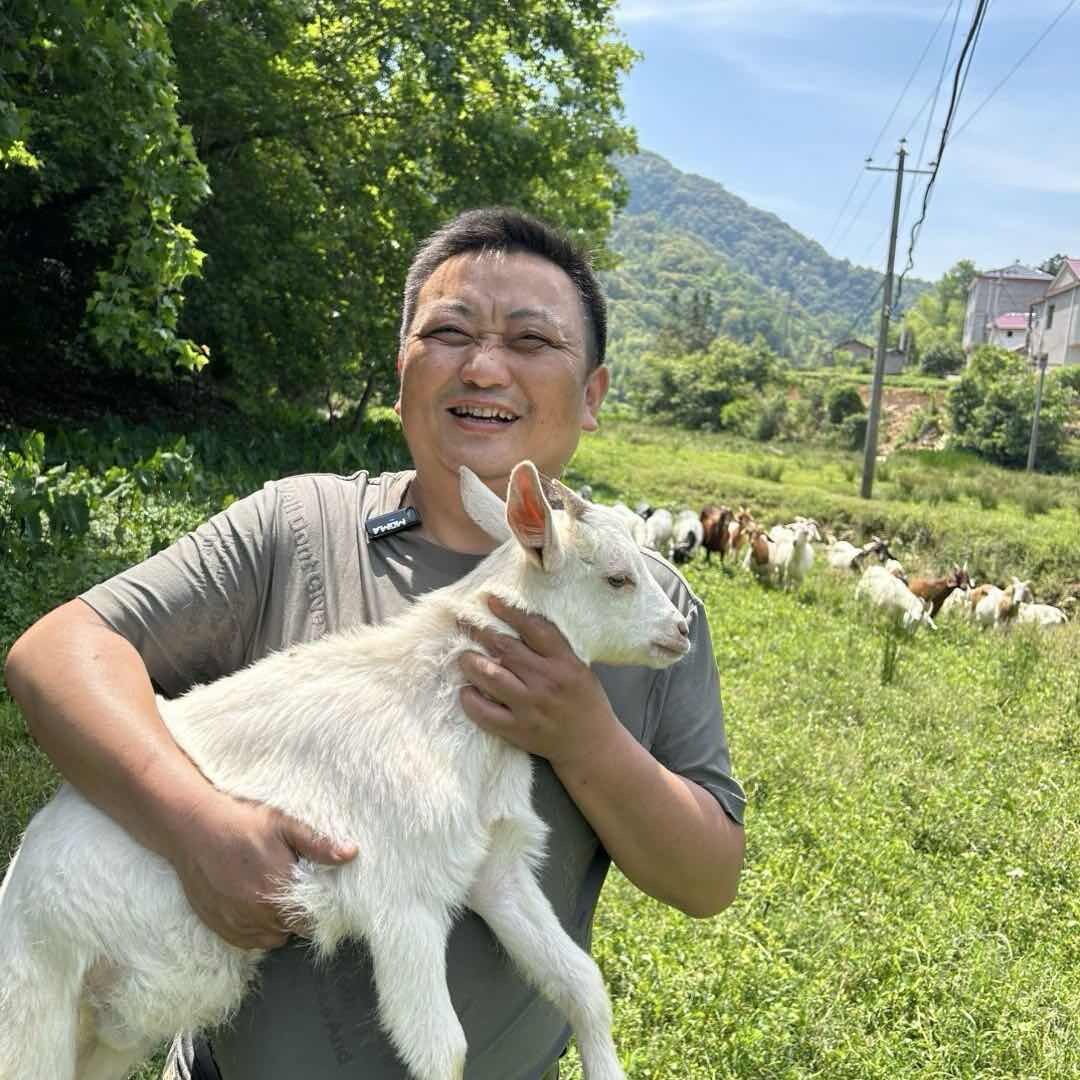 景德镇羊肉老余