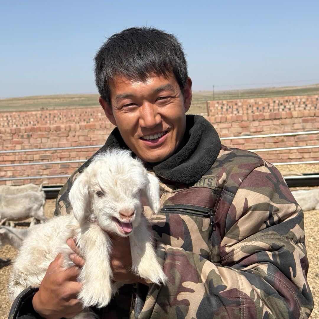 宝明养了一群羊