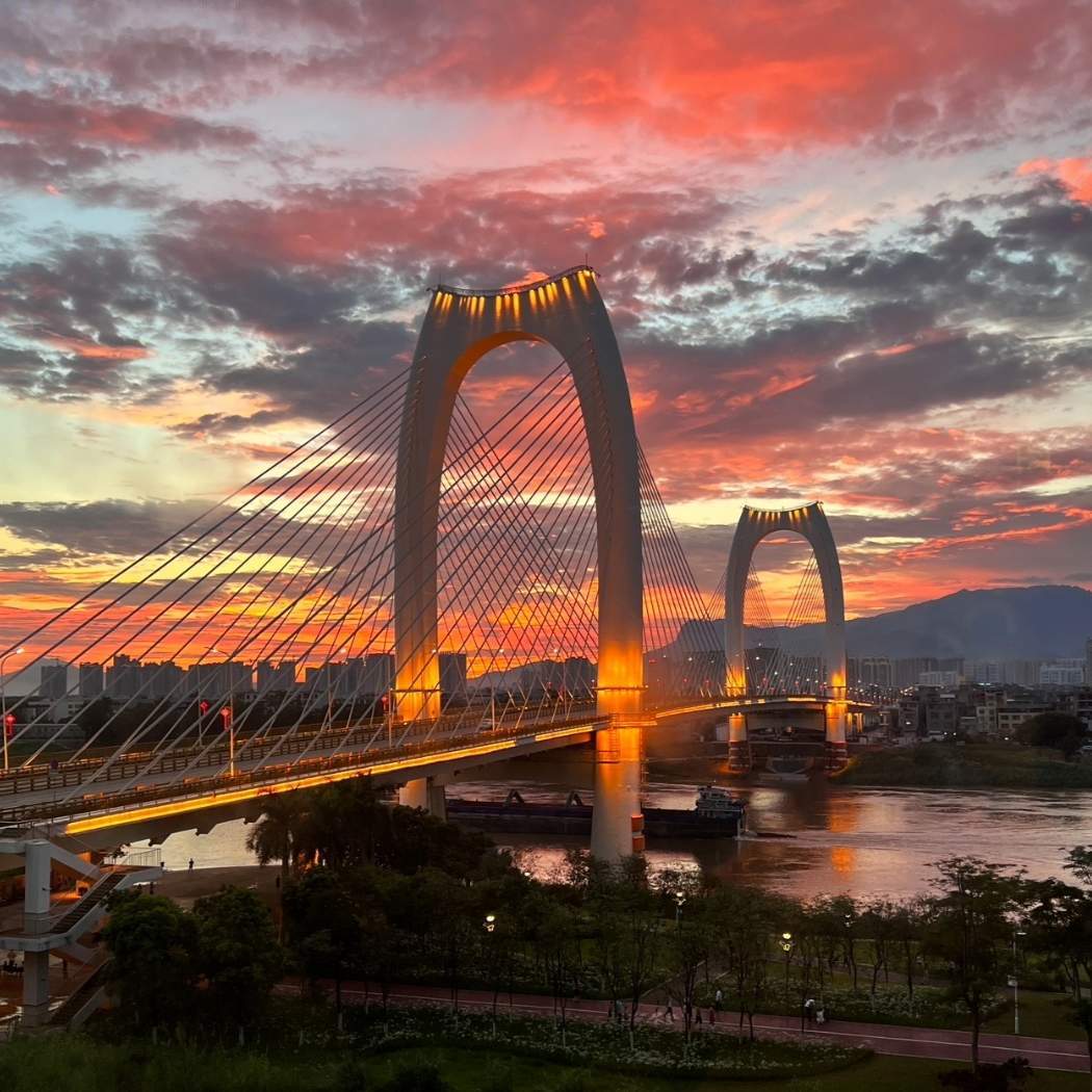 梁y杰