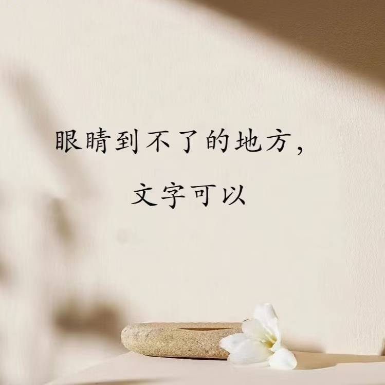 书页集