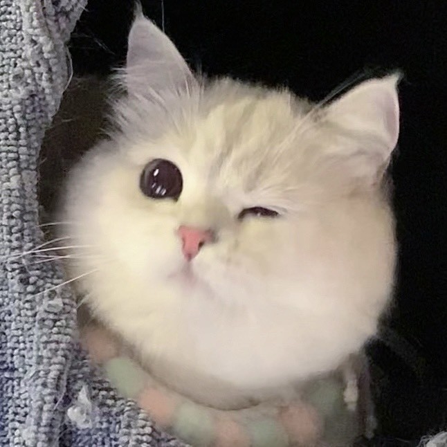 giao崽爱六一