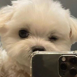 小天迷你世界