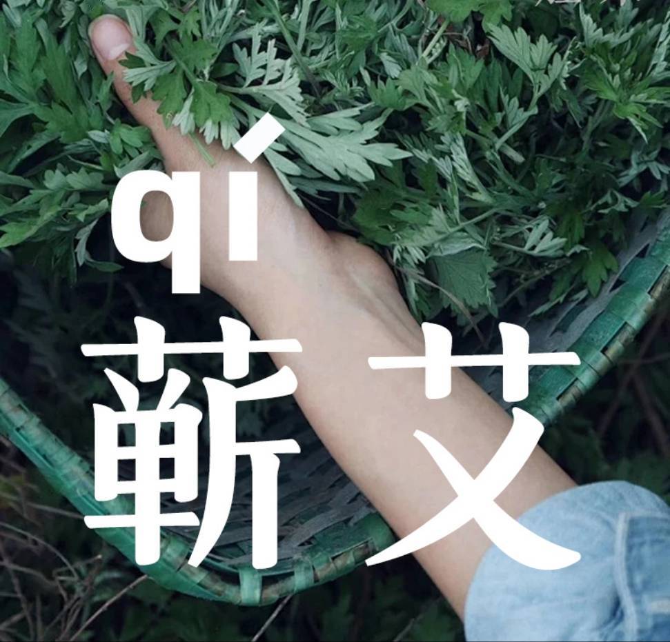 蕲春蕲艾宣传员